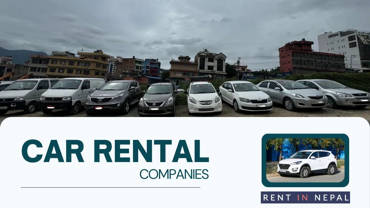 car rental company - our vehicles
